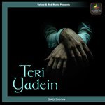 Teri Yadein - Samir Date Song Download